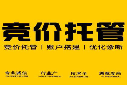 百度SEO推广公司案例解读：优化效果显著